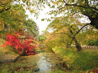 hirosaki09