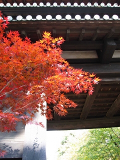 hirosaki12