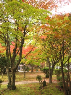 sensyuu09