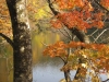 juuniko07