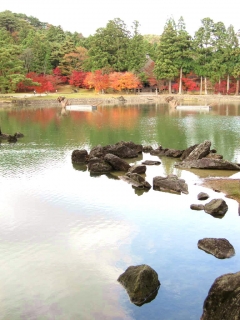 soutuji06
