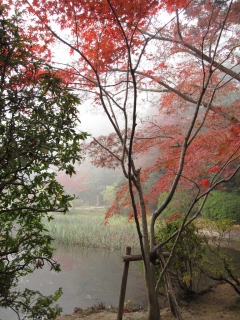 cyougaku03