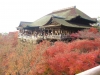 kiyomizu01