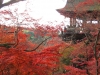 kiyomizu03