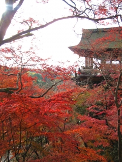 kiyomizu03