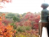 kiyomizu06