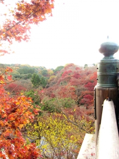 kiyomizu06