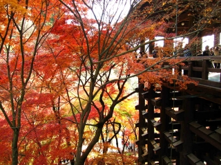 kiyomizu08