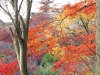 kiyomizu10
