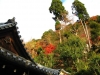 kiyomizu13