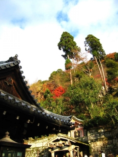 kiyomizu13