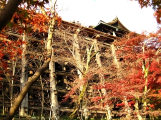 kiyomizu14