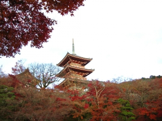 kiyomizu15