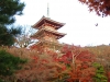 kiyomizu16