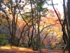 kiyomizu17