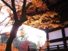 shinnyo09