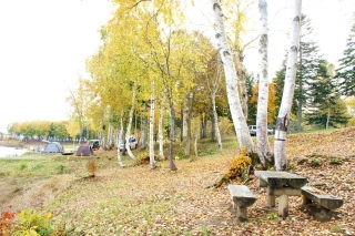 syumari012