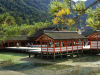 miyajima1001