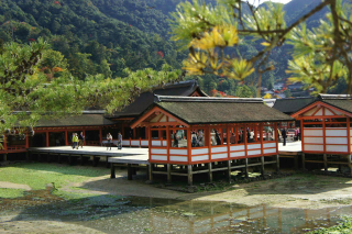 miyajima1001