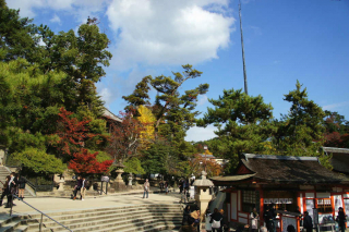 miyajima1003