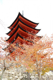 miyajima1005