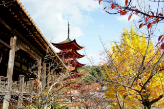 miyajima1006