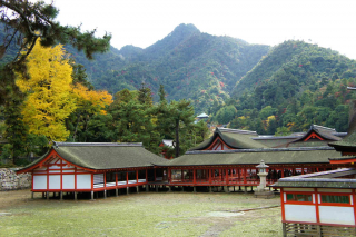 miyajima1007