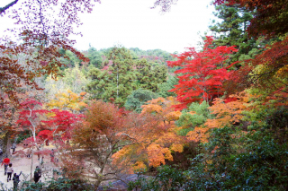 miyajima1009