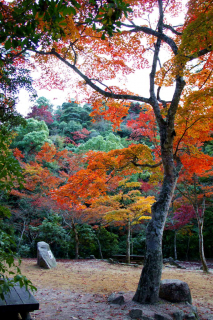 miyajima1013