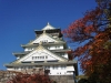osaka011
