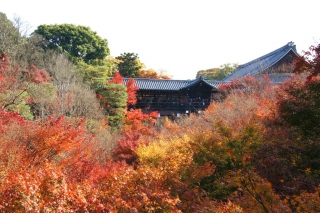 toufuku019