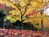 ushitaki004
