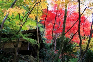 ushitaki013