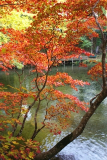 fukidashi07