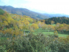 shire11