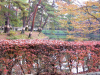 sukagawa01