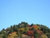 kouran40