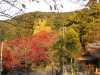 kiyomizu02