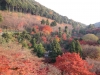 kiyomizu07