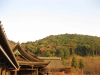 kiyomizu08