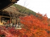 kiyomizu09