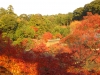 kiyomizu12