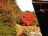 kiyomizu14