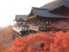 kiyomizu17