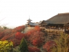 kiyomizu21