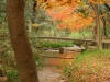 shimo10