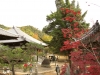 inuyama11